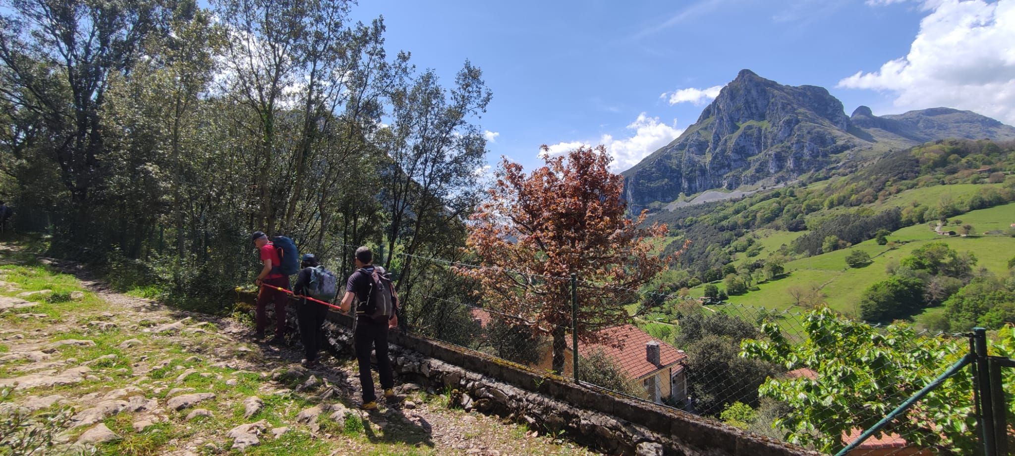 7b005f2c-070f-45fe-9978-2f8941e2907e