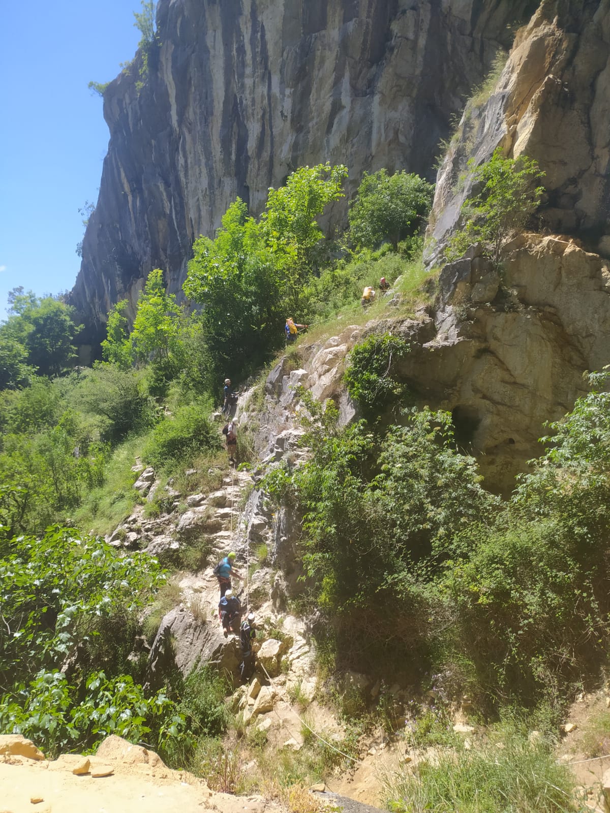 93dcfacc-fd37-41d8-af3b-447d0ca4175b